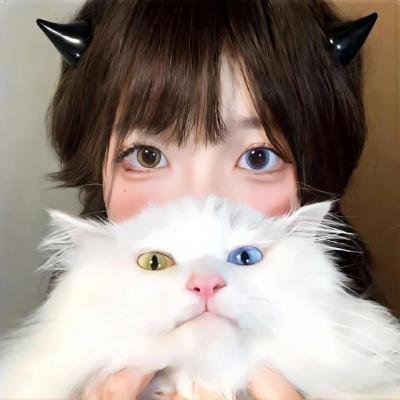 第41